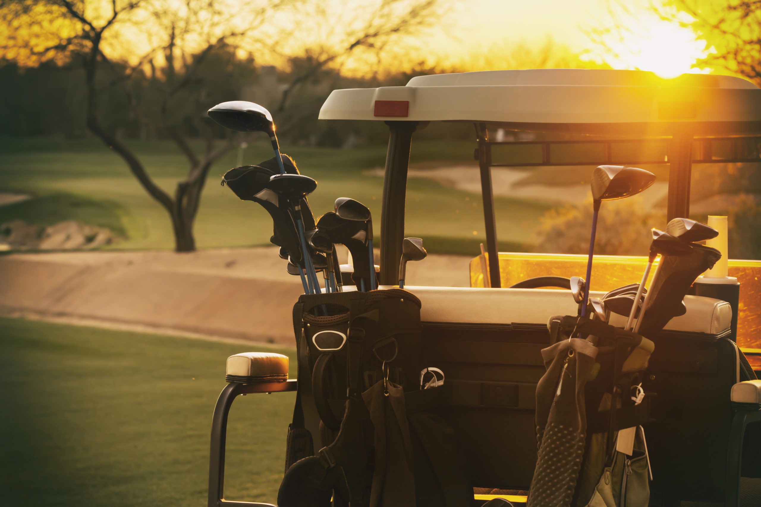 Florida Golf Cart Laws Dismuke Law 1800ASKDAVE