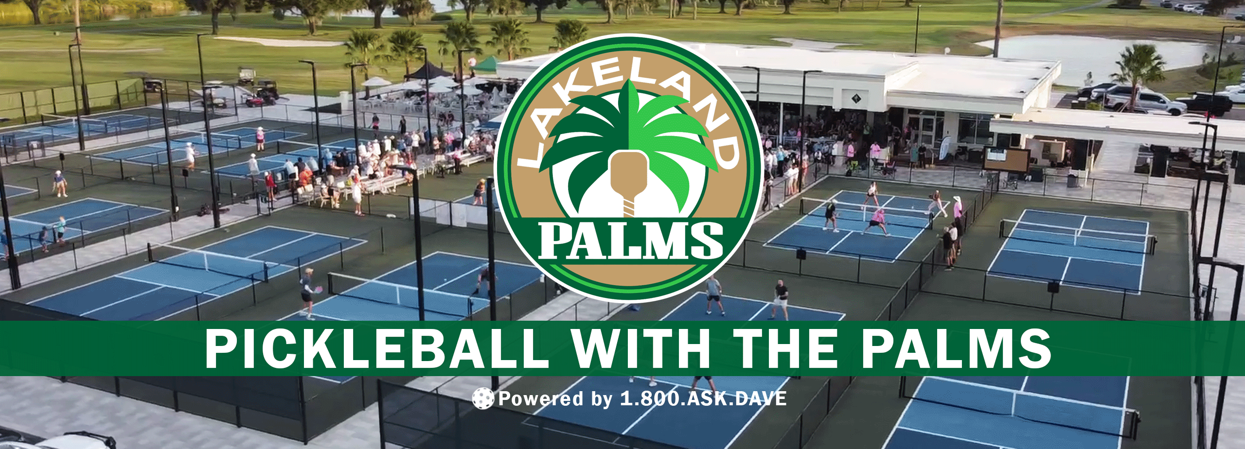 pickleball with the palms